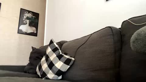 Dhalia online show from November 3, 12:17 pm