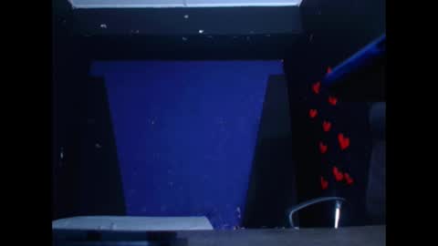 Diego online show from February 26, 11:32 am