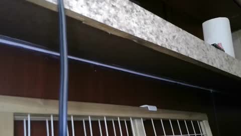 Sofie online show from February 28, 5:48 pm