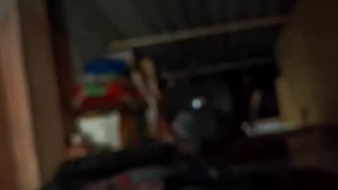 dyno online show from April 26, 2:09 am