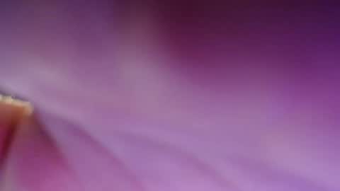 Dirty Kiss69 online show from February 17, 11:33 pm