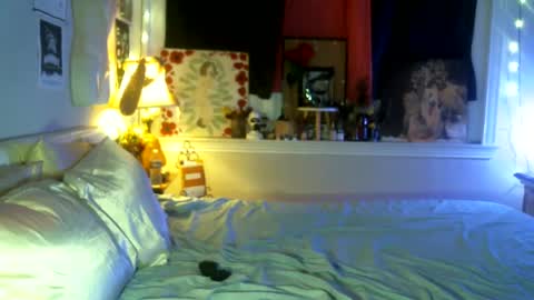 Dixie Doll online show from October 14, 7:55 am