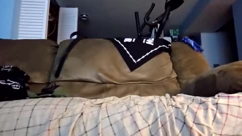 dogbone999081 online show from November 29, 11:07 am