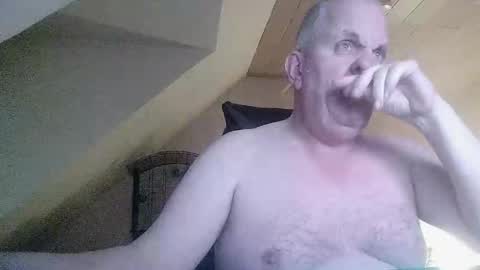 doggy2629 online show from December 15, 4:36 pm