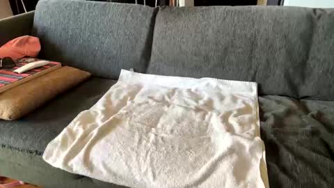 Alfredo online show from September 16, 10:28 am