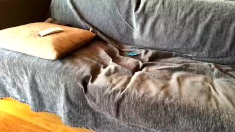 Alfredo online show from February 20, 8:39 am