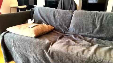 Alfredo online show from March 10, 7:55 am