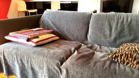 Alfredo online show from February 4, 10:21 am