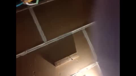 donkey99999 online show from March 10, 4:22 pm