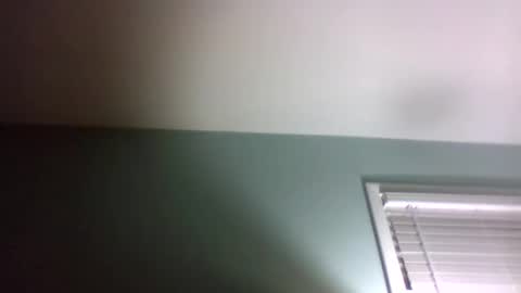 dowbo online show from January 24, 5:10 am