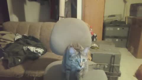 drac2009 online show from January 28, 5:11 am