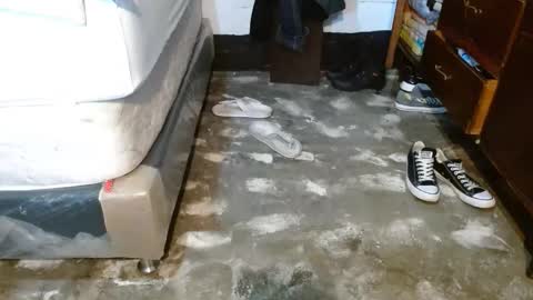 dreamreal online show from April 18, 11:12 am