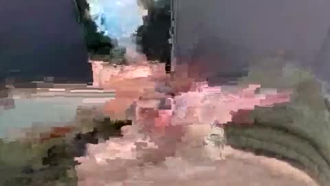 drippingrabbit online show from March 8, 9:35 am