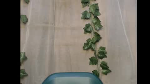 linda online show from November 21, 1:36 am