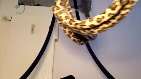 drolyts online show from April 18, 4:47 am