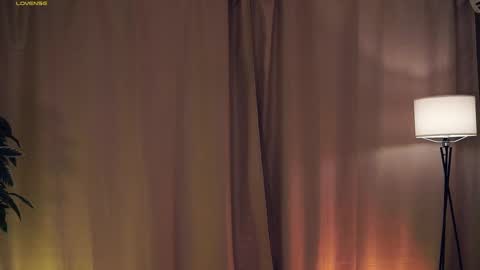 Polly day and Amelia night online show from March 8, 12:30 pm