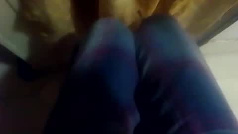 dthedog12 online show from November 24, 2:21 am