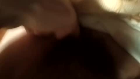 dthedog12 online show from October 25, 9:04 pm