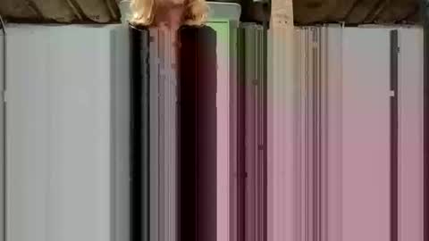 dwr127 online show from April 5, 10:56 am