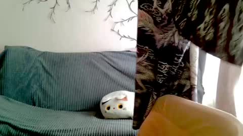 Lily online show from April 28, 7:34 am