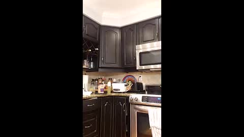 eat_a_lot_of online show from December 15, 10:50 pm