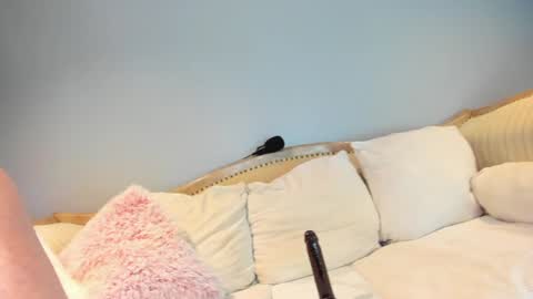 Allison online show from December 16, 3:51 pm