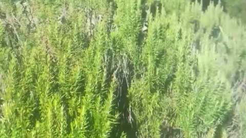 Snapshot of ebnk15 chatting on October 21, 1:16 pm ebnk15 online show from October 21, 1:16 pm