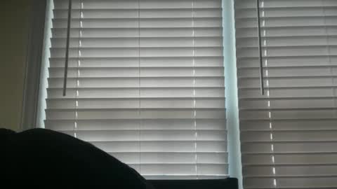 americnbarbie online show from February 3, 1:15 pm