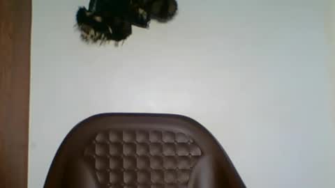 ebony choco2 online show from February 1, 7:38 am