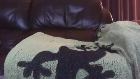 Ectopicstarfish online show from December 13, 8:41 am