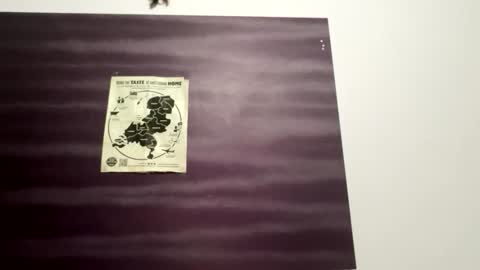 eddy1422 online show from April 3, 5:09 pm