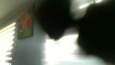 eduardo202531 online show from December 19, 12:11 pm