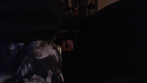 eeyoreeeyore online show from October 29, 4:47 am