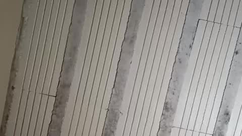 Sebastin online show from October 6, 7:26 am