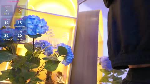 Elasummeer online show from December 17, 12:01 pm