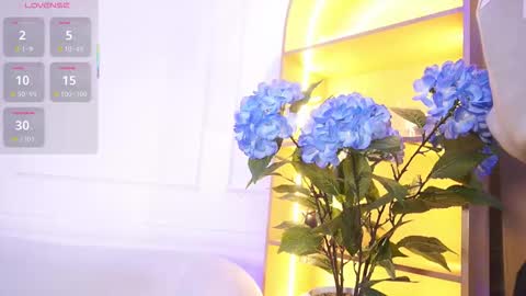 Elasummeer online show from November 19, 11:42 am