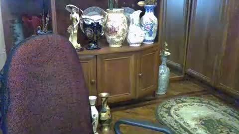 ElenaZed online show from November 21, 2:37 pm