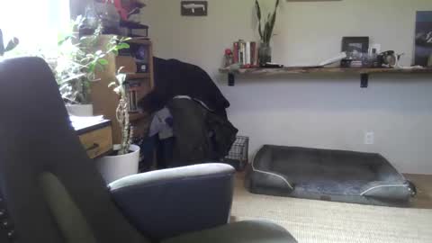 fox online show from February 22, 6:54 pm