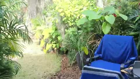 eliberator online show from January 18, 7:58 pm