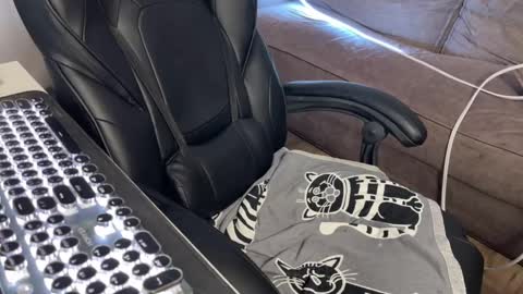 Elisa North online show from March 9, 9:57 am