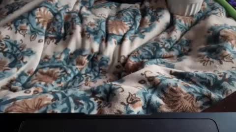 Elle online show from March 9, 4:11 pm