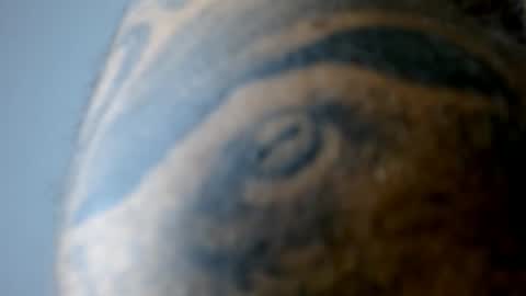 elosocazador online show from April 13, 6:56 pm