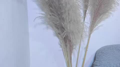 emilyjordan2026 online show from March 24, 9:32 pm