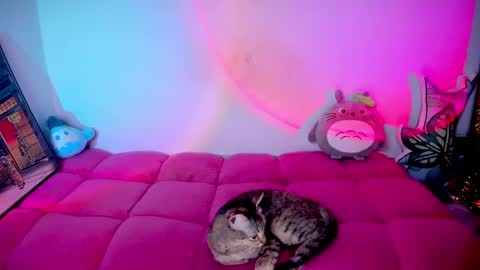 RH-NEGATIVE GREEN-EYED BAELIEN online show from October 9, 6:24 pm