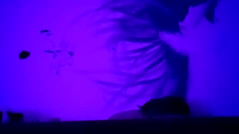 EnticingEnigma online show from September 23, 2:49 am