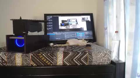 Eolicasextwo online show from December 18, 9:10 pm