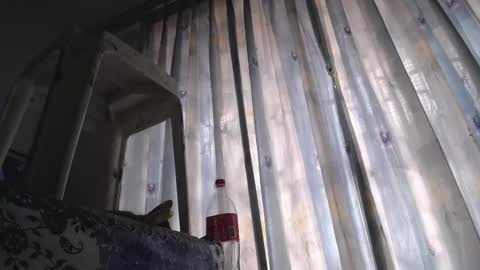 Eolicasextwo online show from February 18, 5:20 pm