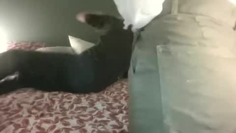 Snapshot of ericstephcam31 chatting on February 28, 10:06 pm Steph et Eric online show from February 28, 10:06 pm