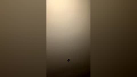 ero404117790 online show from April 15, 1:42 am