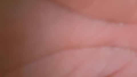 errrow online show from March 5, 2:37 pm